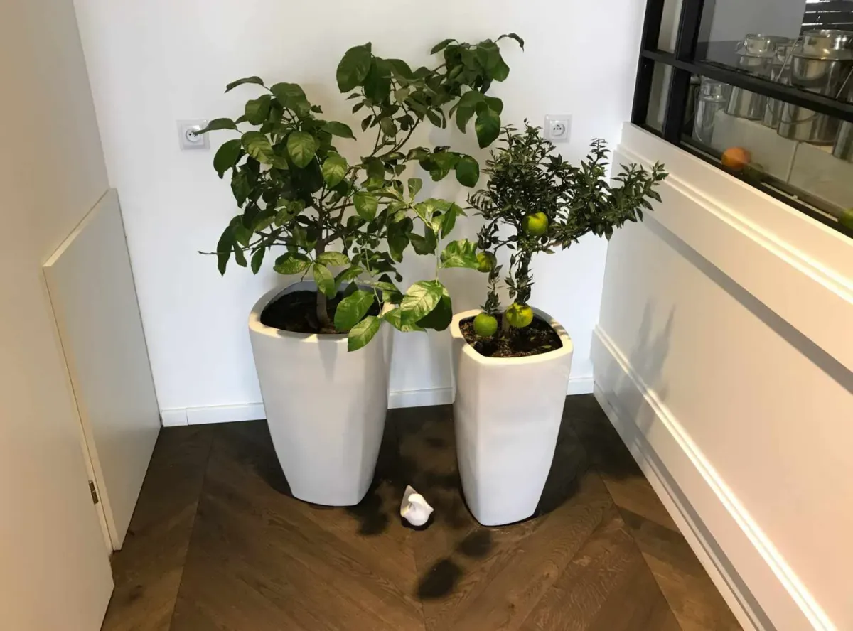 Sklep z doniczkami: Plant Deco