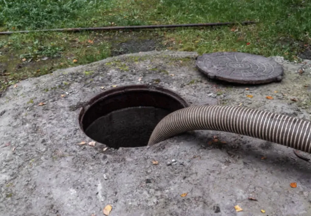 Jaki najlepszy sposób na zamaskowania szamba w ogrodzie?